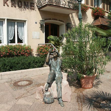 Hotel Krone Ноєнбург-ам-Райн Екстер'єр фото
